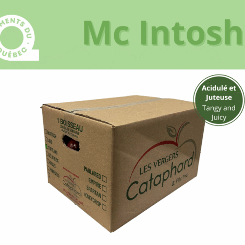 Minot pomme Mcintosh - 36lb