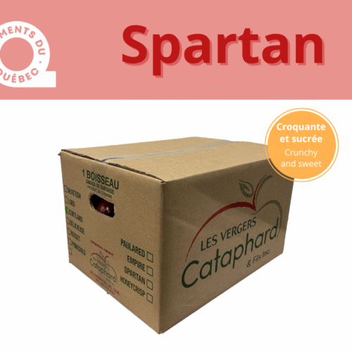 Minot pomme Spartan - 36lb