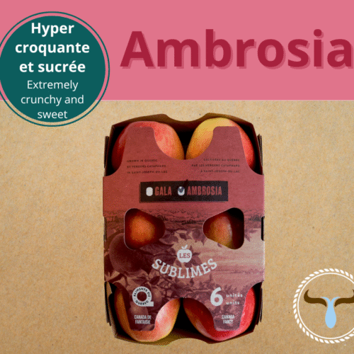 Les Sublimes - Ambrosia 6 Unités